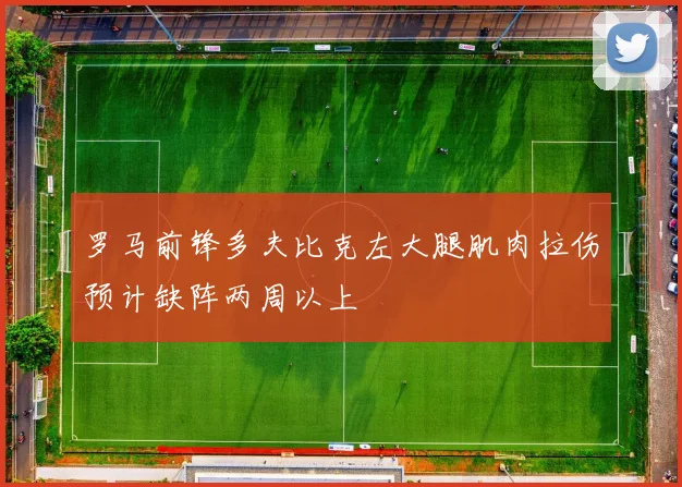 罗马前锋多夫比克左大腿肌肉拉伤预计缺阵两周以上